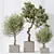 Exquisite Indoor Plant Set 95 3D model small image 3