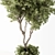 Evergreen Tree in Potted Plant 3D model small image 2