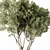 Evergreen Tree in Potted Plant 3D model small image 3