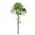 Exotic Sal Tree 3D Model 3D model small image 1