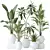 Premium Indoor Plant Set Collection 3D model small image 1