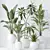 Premium Indoor Plant Set Collection 3D model small image 2