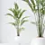 Premium Indoor Plant Set Collection 3D model small image 4