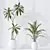 Premium Indoor Plant Set Collection 3D model small image 5