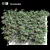 Actinidia Vine Plant Model - 3.4m 3D model small image 2