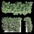 Actinidia Vine Plant Model - 3.4m 3D model small image 3