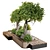 3D Plant & Decor Collection 3D model small image 2