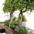 3D Plant & Decor Collection 3D model small image 6