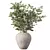 Elegant Bouquet Plant No.35 3D model small image 1