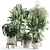 Custom Indoor Plant Model 246 3D model small image 1