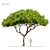 Majestic Stone Pine Tree Model 3D model small image 1