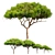 Majestic Stone Pine Tree Model 3D model small image 3