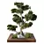 Modern Indoor Plant Set Bundle 3D model small image 1