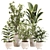 Green Oasis Indoor Plant Set 3D model small image 3