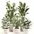 Green Oasis Indoor Plant Set 3D model small image 2