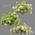 Abelia × grandiflora Trio Bundle 3D model small image 1