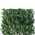 Elegant Ficus Weeping Fig Bush 3D model small image 2