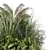 Outdoor Plants Collection Set 2303 3D model small image 3