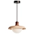 Sleek Corpin Pendant Lamp 3D model small image 2