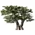 Majestic Olive Tree Figurine 3D model small image 1