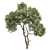 Tree Vol 19 3D Model 3D model small image 1