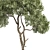 Tree Vol 19 3D Model 3D model small image 2