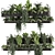 High-Quality Indoor Hanging Plant 3D model small image 4