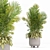 Stone Pot Indoor Plant Set 3D model small image 2