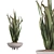 Stone Pot Indoor Plant Set 3D model small image 5