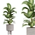 Stone Pot Indoor Plant Set 3D model small image 6