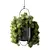 Modern Hanging Plant Set Collection 3D model small image 1