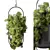 Modern Hanging Plant Set Collection 3D model small image 2