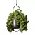 Modern Hanging Plant Set Collection 3D model small image 3