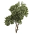 Tree Vol 20 3D Model 3D model small image 1