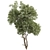 Tree Vol 20 3D Model 3D model small image 2