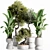 High-Quality Indoor Plants Set 3D model small image 1