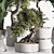 High-Quality Indoor Plants Set 3D model small image 4