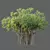  Indian Banyan Ficus Tree Model 3D model small image 4