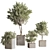 Sleek Indoor Plant Set 146 3D model small image 12