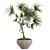 Realistic Dracaena & Schefflera Plants 3D model small image 2