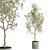 Concrete Vase Olive Trees Set 3D model small image 3