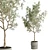 Concrete Vase Olive Trees Set 3D model small image 4