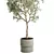 Concrete Vase Olive Trees Set 3D model small image 6