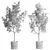 Concrete Vase Olive Trees Set 3D model small image 7