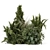 Outdoor Bush Set with V-Ray 3D model small image 5