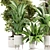 High-Quality Indoor Plants Set 3D model small image 3