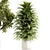 High-Quality Indoor Plants Set 3D model small image 4