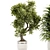 High-Quality Indoor Plants Set 3D model small image 5