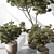 Russian Olive Tree in Pot 3D model small image 2