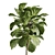 Tropical Ficus Lyrata Indoor Plant 3D model small image 2